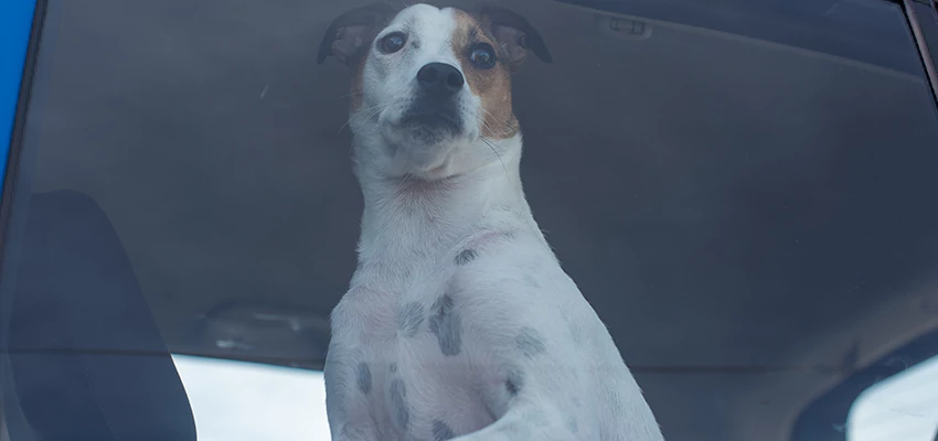 Car Lockout Solutions in Roseville, California